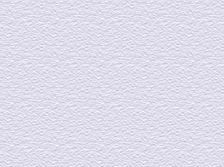 Arctic Brilliant White metal roof color