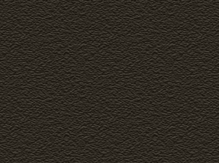 Dark Slate metal roof color