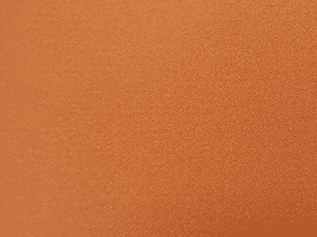 Copper Penny metal roof color