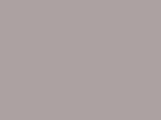 Ash Gray metal roof color