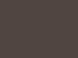 Burnished Slate metal roof color