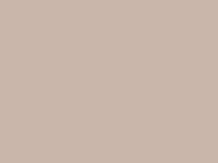 Light Stone metal roof color
