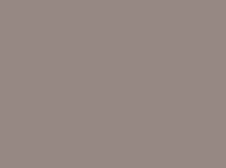 Taupe metal roof color