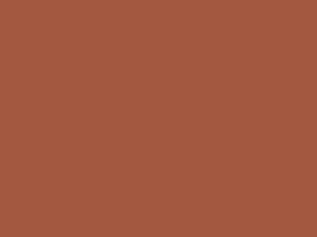 Terra Cotta metal roof color